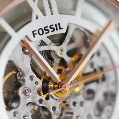 Fossil townsman automatic see through dial men's watch 